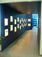 /album/negozi/acquario-club-006-jpg/